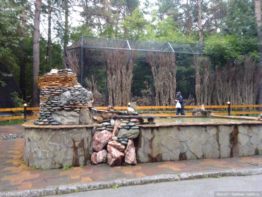 Новосибирский зоопарк. Сентябрь 2024 год