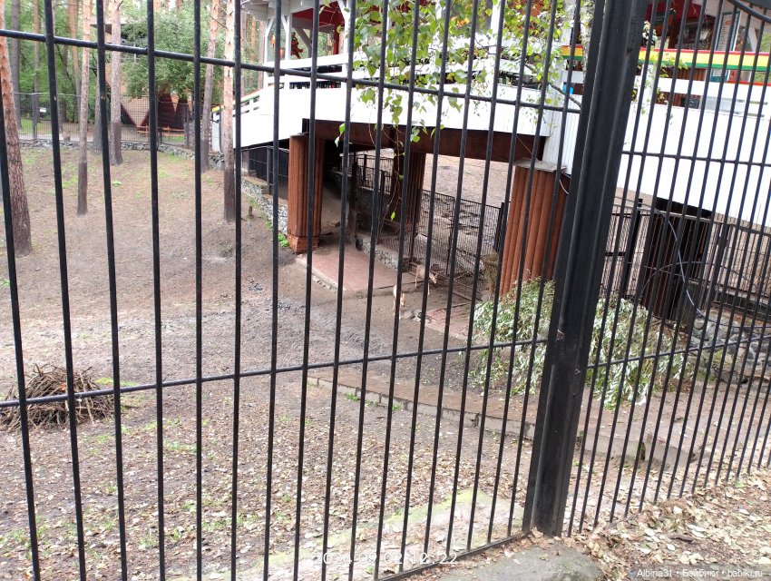 Новосибирский зоопарк. Сентябрь 2024 год