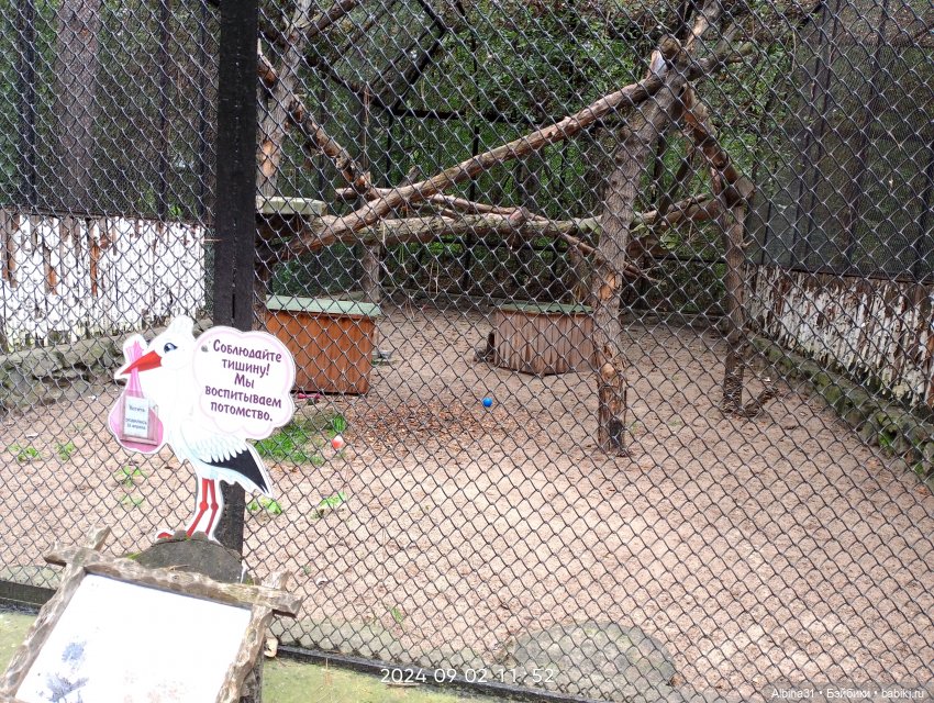 Новосибирский зоопарк. Сентябрь 2024 год