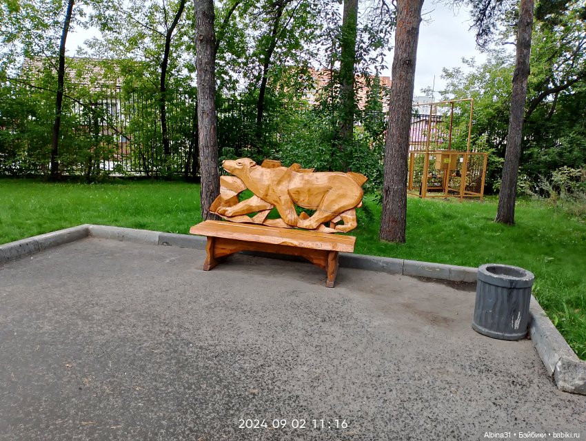 Зоопарк. Новосибирск. Сентябрь 2024 год (2)