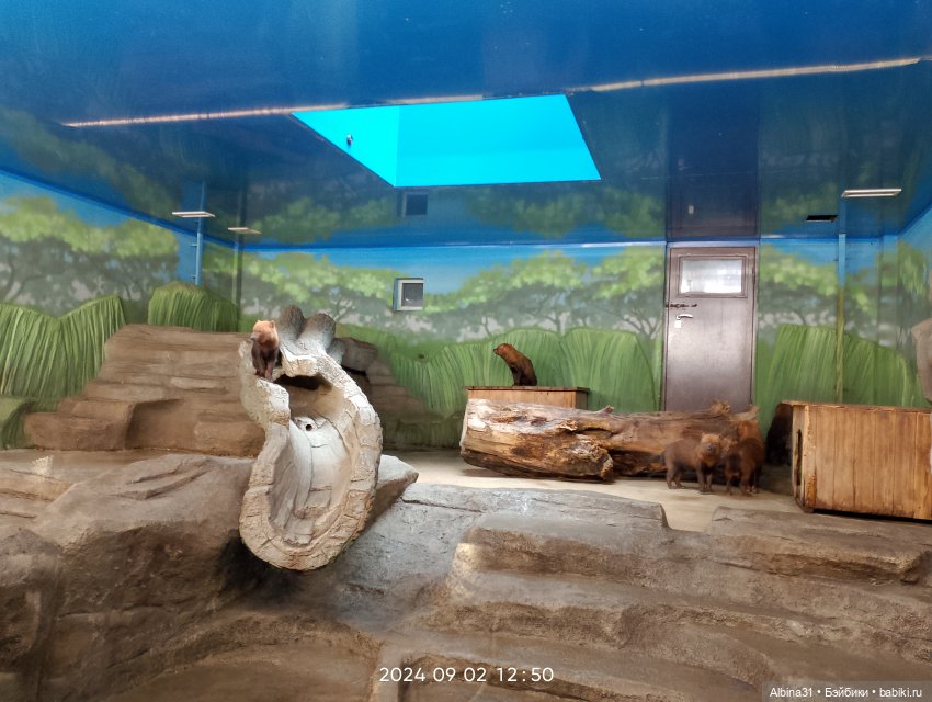 Новосибирский зоопарк (часть 4)