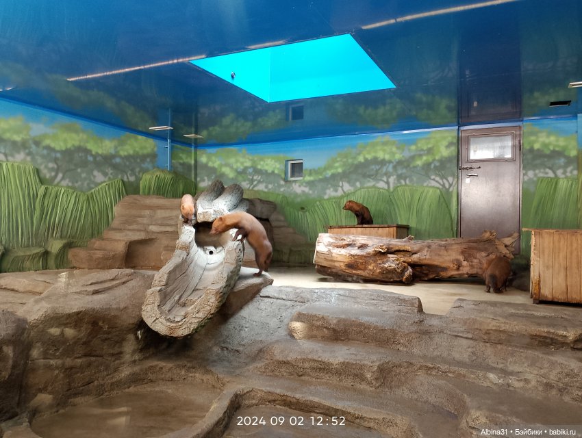 Новосибирский зоопарк (часть 4)