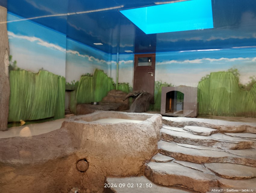 Новосибирский зоопарк (часть 4)