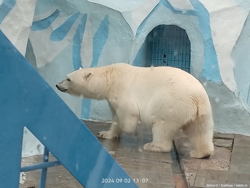 Новосибирский зоопарк (часть 4)