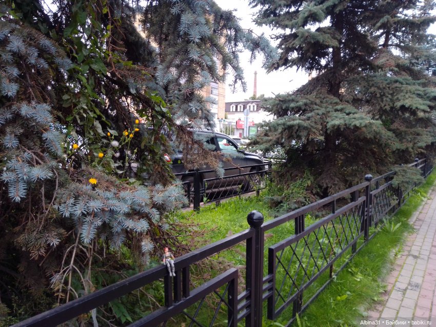 Городские зарисовки. Осень 2024 год (фото 7)