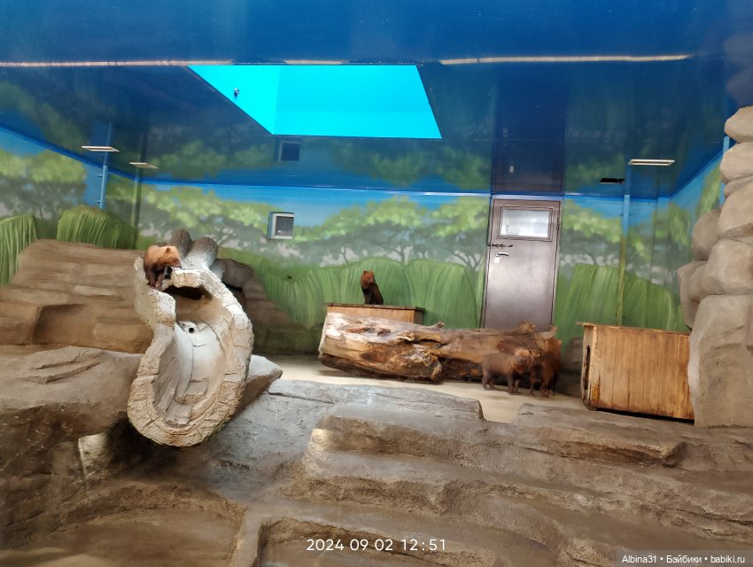 Новосибирский зоопарк (часть 4)