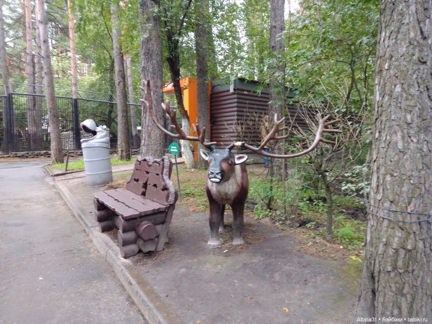 Новосибирский зоопарк (часть 4)