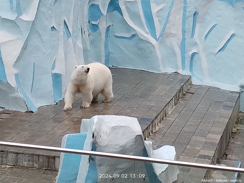 Новосибирский зоопарк (часть 4)