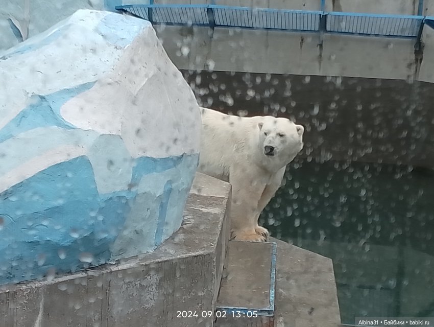 Новосибирский зоопарк (часть 4)