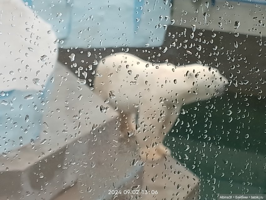 Новосибирский зоопарк (часть 4)