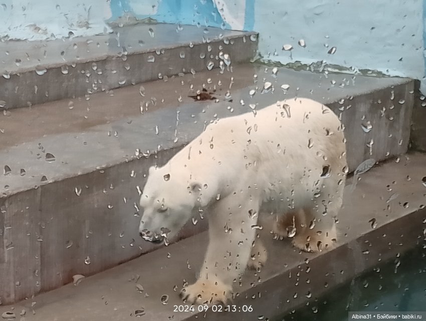 Новосибирский зоопарк (часть 4)