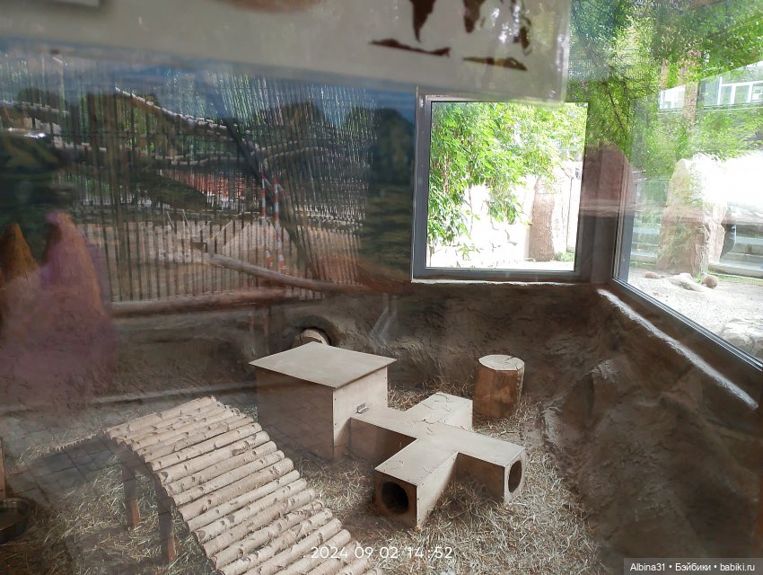 Новосибирский зоопарк (часть 4)