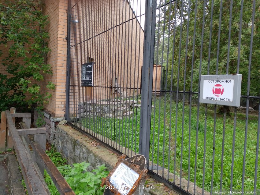 Новосибирский зоопарк (часть 4) (фото 5)