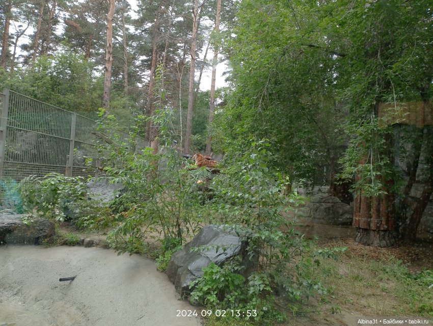 Новосибирский зоопарк (часть 4)