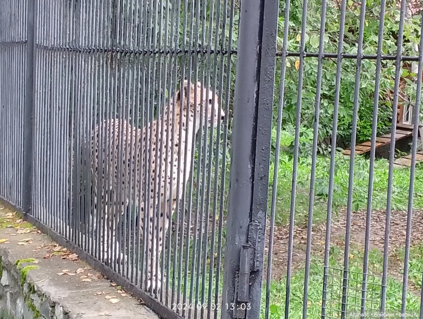 Новосибирский зоопарк (часть 4)