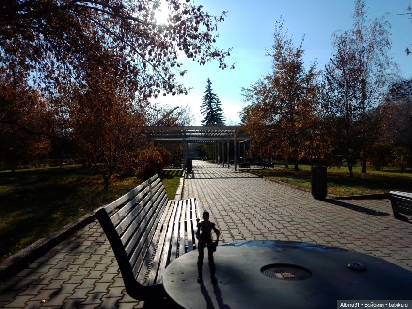 Городские зарисовки. Осень 2024 год