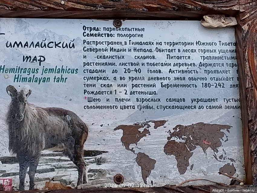 Новосибирский зоопарк (часть 4)