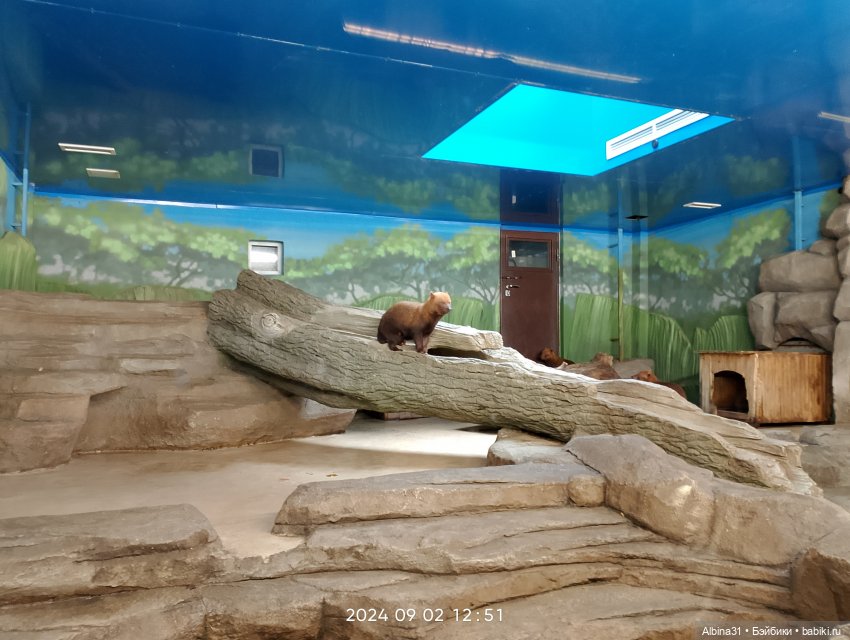 Новосибирский зоопарк (часть 4)