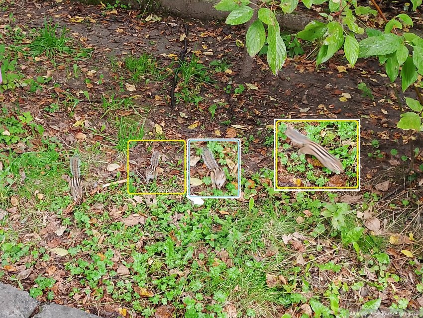 Новосибирский зоопарк (часть 4)