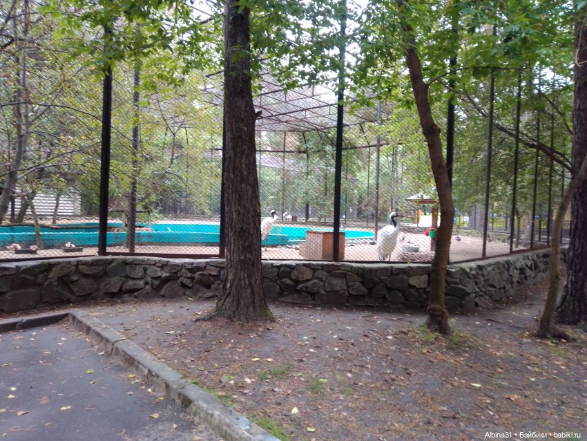 Новосибирский зоопарк (часть 4)