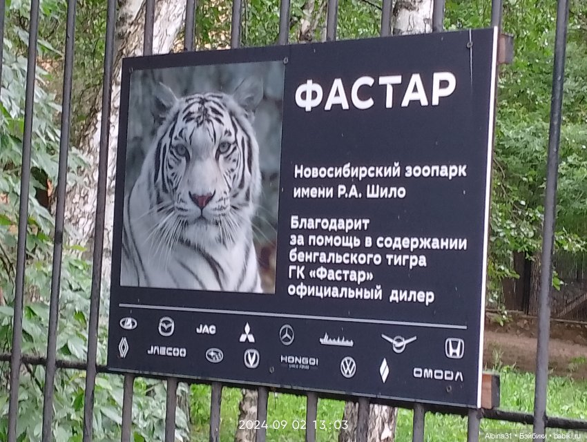 Новосибирский зоопарк (часть 4)