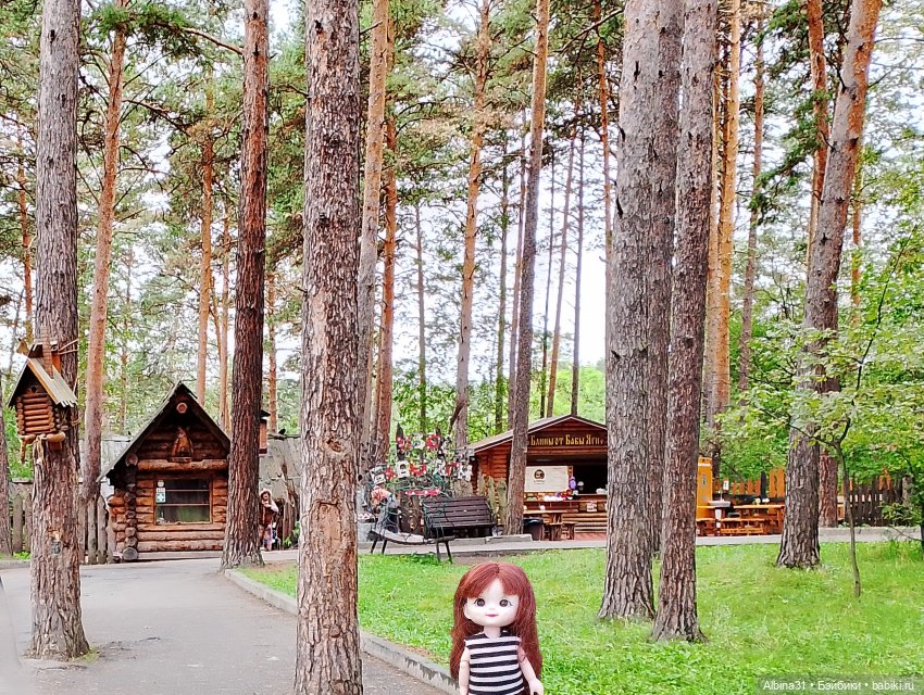 Новосибирский зоопарк (часть 4)