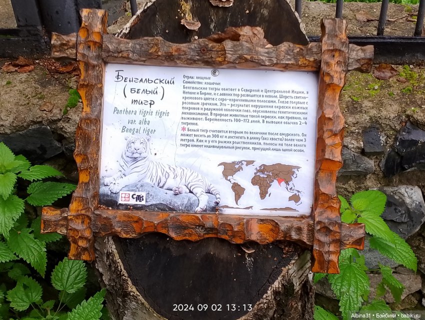 Новосибирский зоопарк (часть 4)