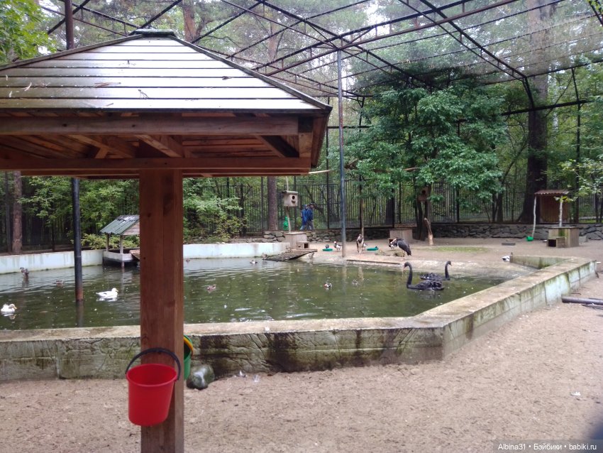 Новосибирский зоопарк (часть 4)