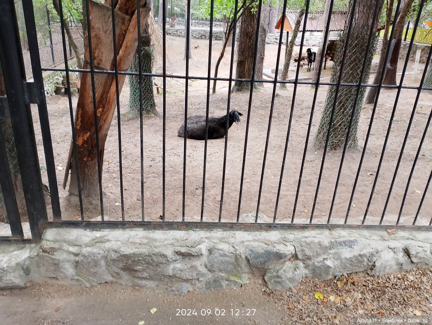 Новосибирский зоопарк (часть 4)