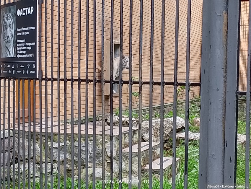 Новосибирский зоопарк (часть 4) (фото 4)