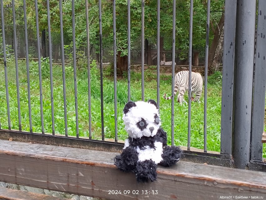 Новосибирский зоопарк (часть 4)