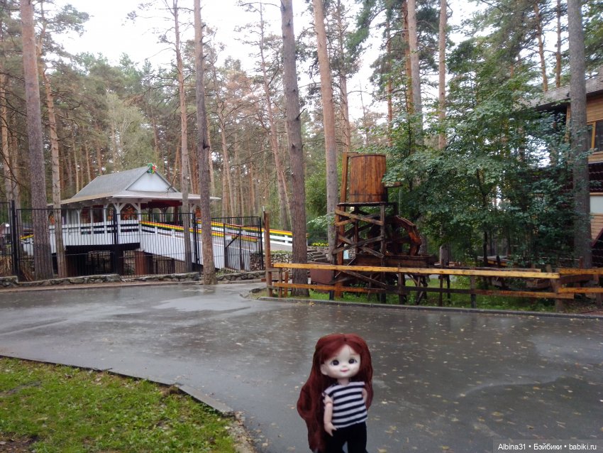 Новосибирский зоопарк (часть 4)