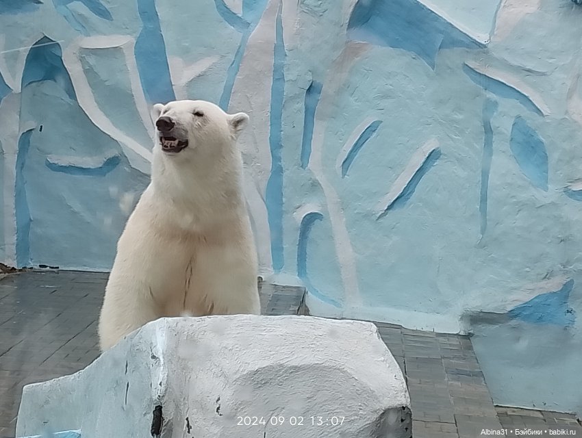 Новосибирский зоопарк (часть 4)