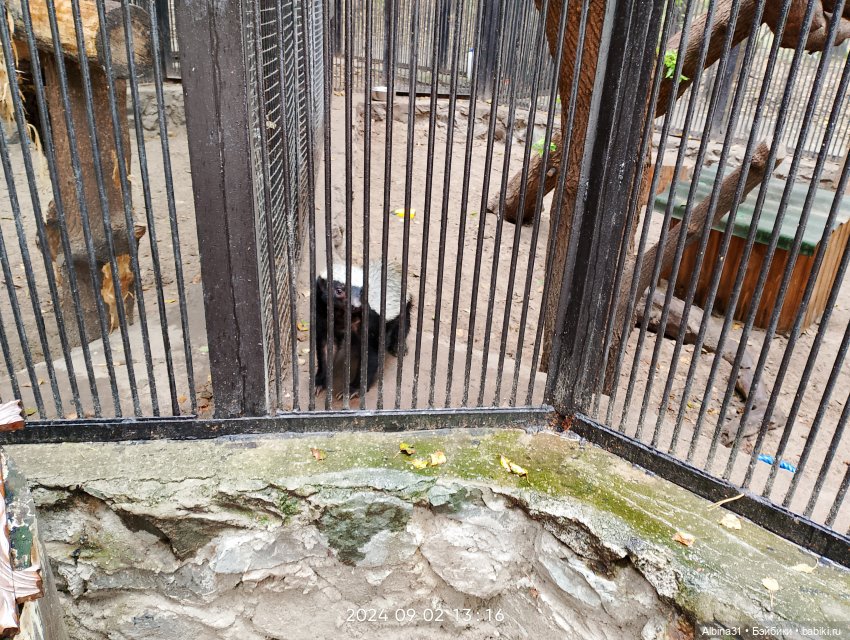 Новосибирский зоопарк (часть 4)