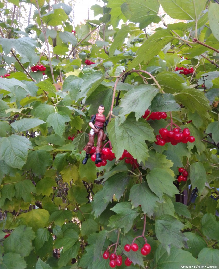 Городские зарисовки... Октябрь 2024