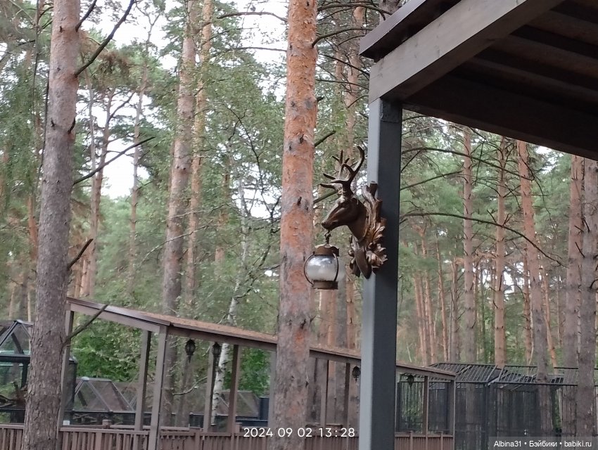 Новосибирский зоопарк — Игровые куклы разных производителей (Разное): редкие бренды (фото 3)