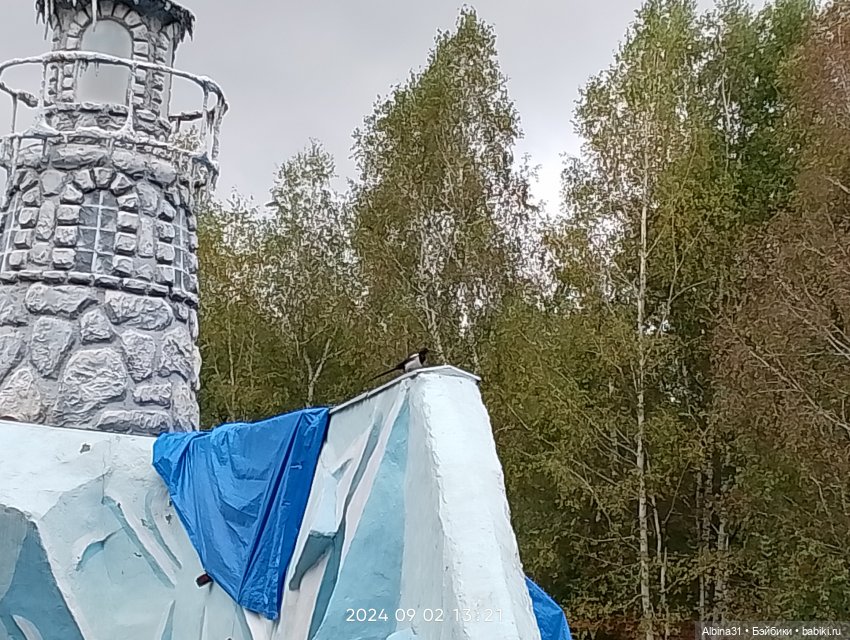 Новосибирский зоопарк (часть 4)