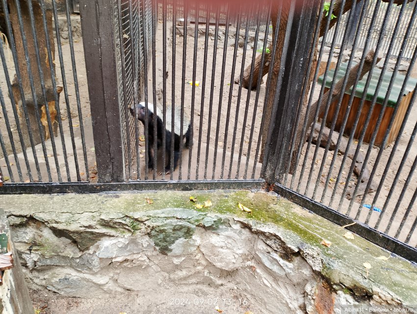 Новосибирский зоопарк (часть 4)