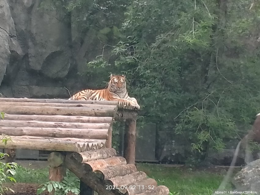 Новосибирский зоопарк (часть 4)