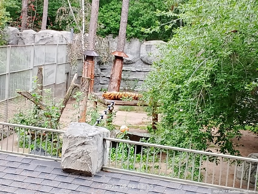 Новосибирский зоопарк (часть 4)