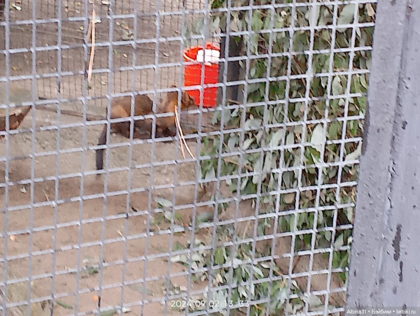 Новосибирский зоопарк — Игровые куклы разных производителей (Разное): редкие бренды