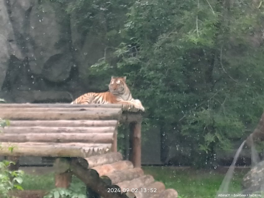 Новосибирский зоопарк (часть 4)