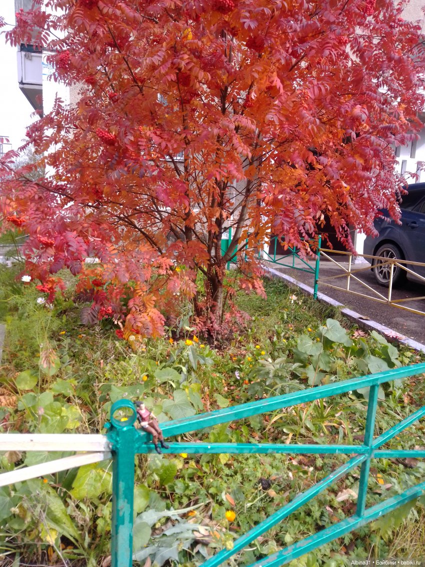 Городские зарисовки... Октябрь 2024