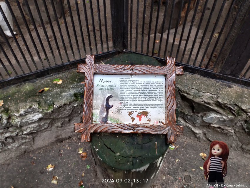 Новосибирский зоопарк (часть 4)