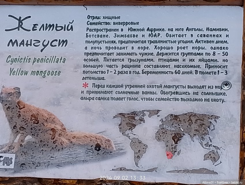 Новосибирский зоопарк — Игровые куклы разных производителей (Разное): редкие бренды