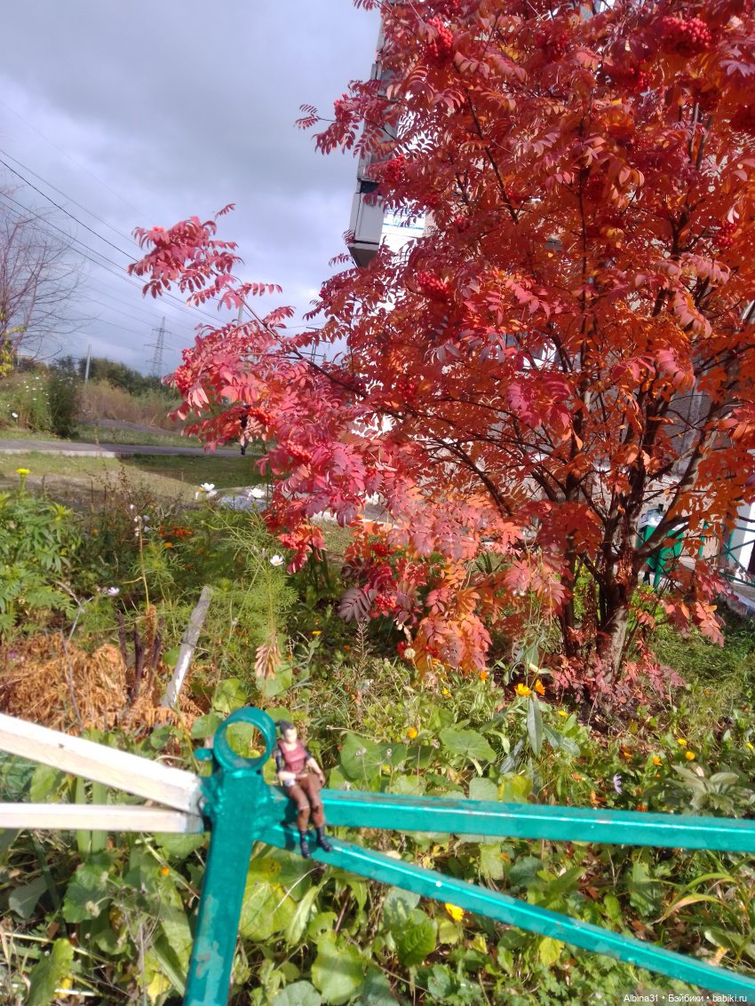 Городские зарисовки... Октябрь 2024 (фото 2)