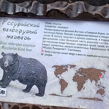 Новосибирский зоопарк