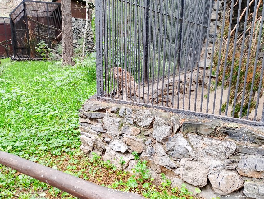 Новосибирский зоопарк — Игровые куклы разных производителей (Разное): редкие бренды