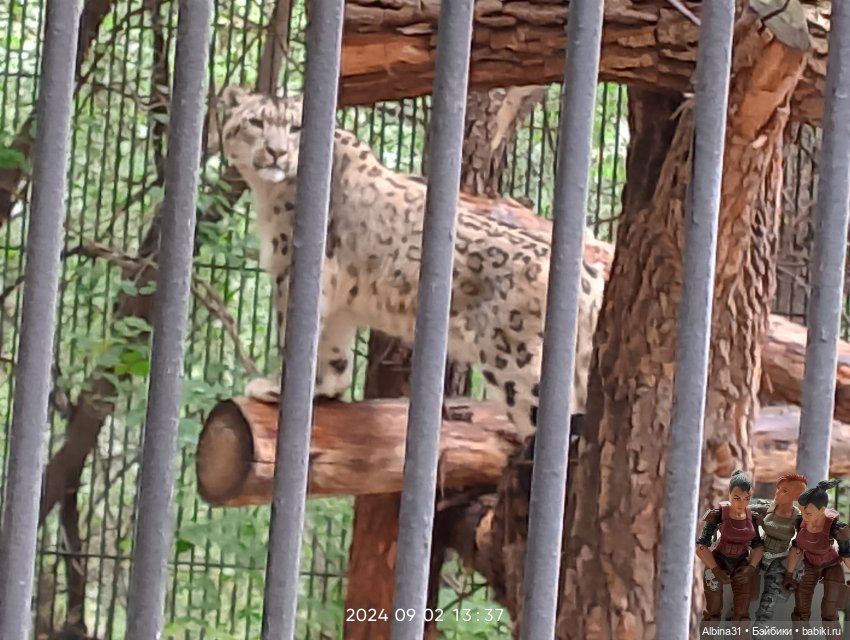 Новосибирский зоопарк — Игровые куклы разных производителей (Разное): редкие бренды