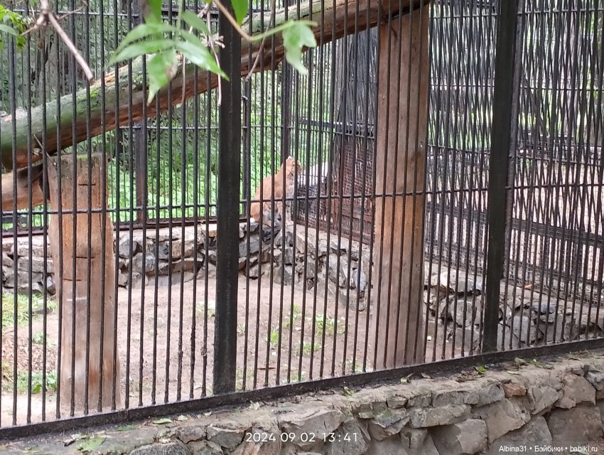 Новосибирский зоопарк — Игровые куклы разных производителей (Разное): редкие бренды